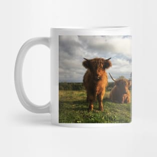 Scottish Highland Cattle Cow and Calf 2120 Mug